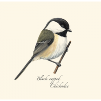 Chickadee Boxed Notecards