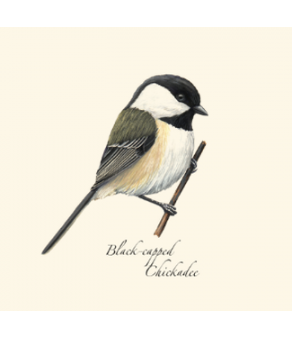 Earth sky water Chickadee Boxed Cards