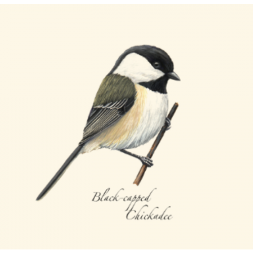  Earth sky water Chickadee Boxed Notecards 