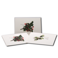 Holly Asst Boxed Note Cards