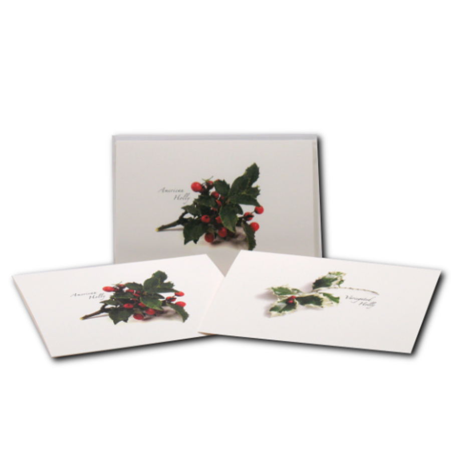 Holly Asst Boxed Note Cards