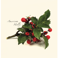 Holly Asst Boxed Note Cards