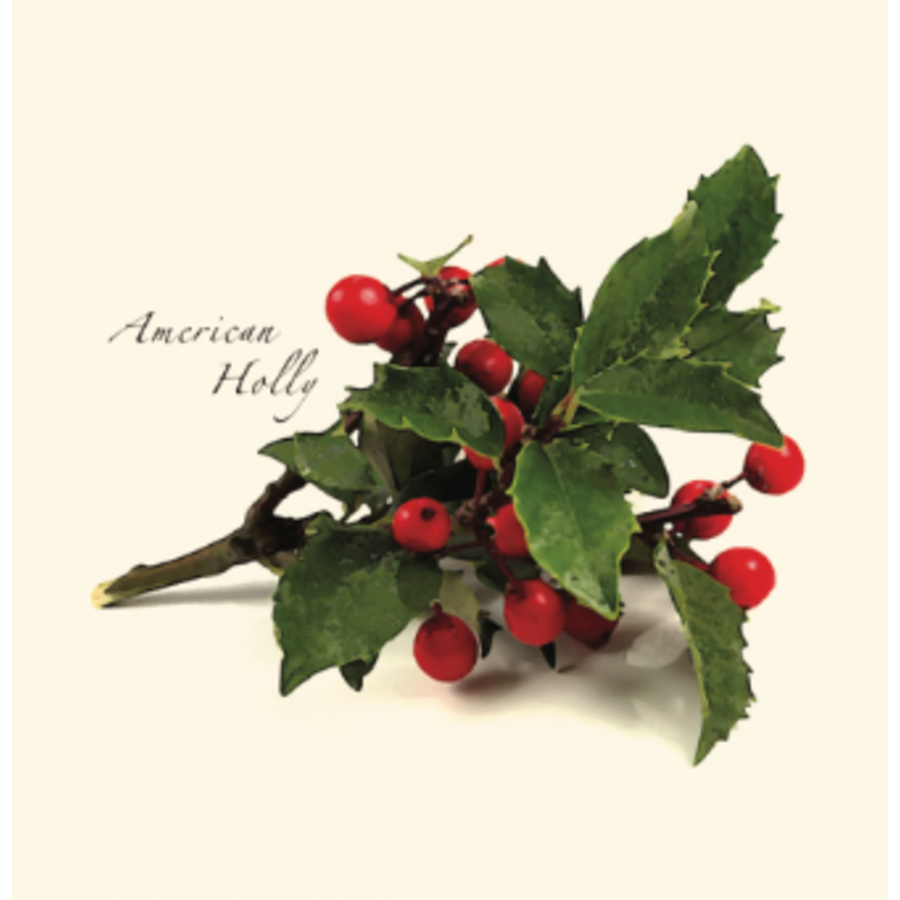 Holly Asst Boxed Note Cards