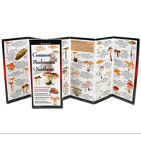 Common Mushrooms of the NE Folding Guide