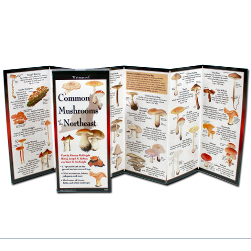  Earth sky water Common Mushrooms of the NE Folding Guide 