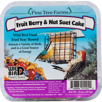 Fruit Berry Nut Suet
