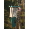 SE Suet Feeder with Tail Prop