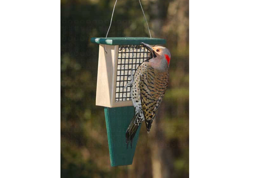  SE Suet Feeder with Tail Prop 