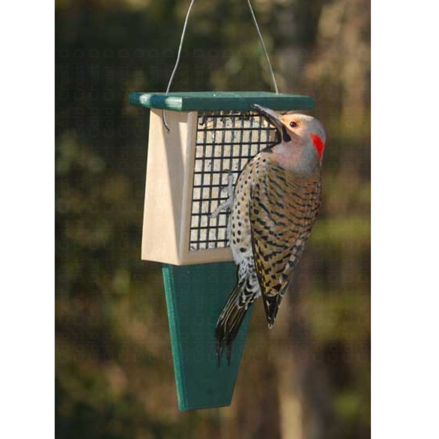 SE Suet Feeder with Tail Prop