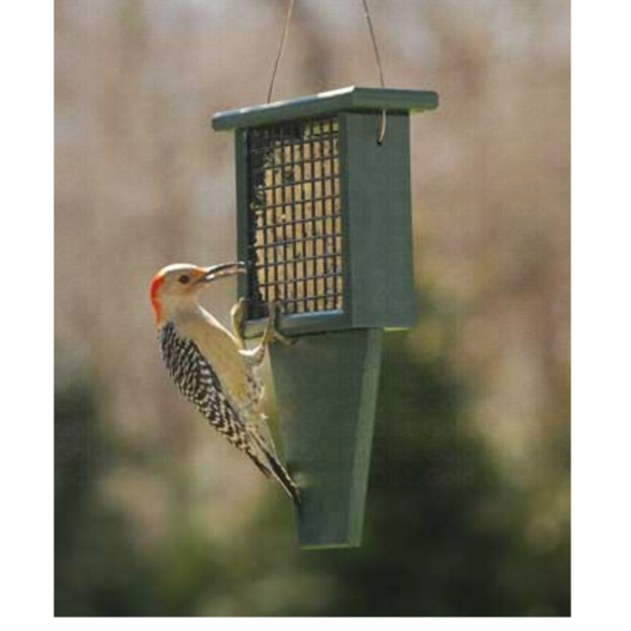 SE Suet Feeder with Tail Prop