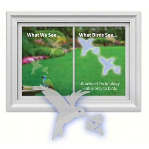 Window Alert Hummingbird 