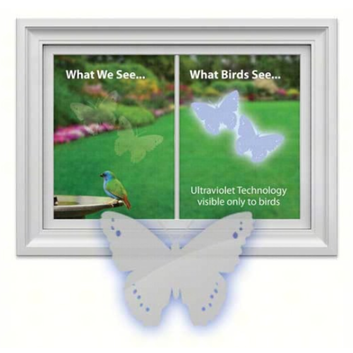 Window Alert Butterfly 