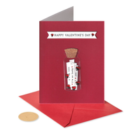 Love Notes in a Bottle Val Day Card