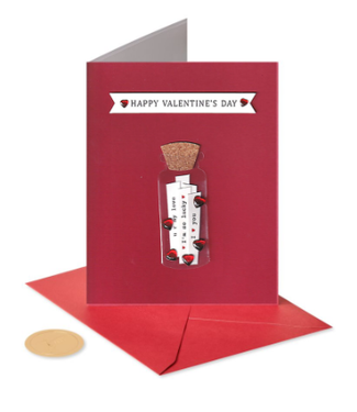 Love Notes in a Bottle Val Day Card