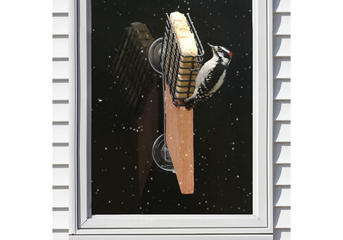  Suet Window Feeder 