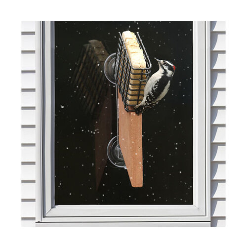  Suet Window Feeder 