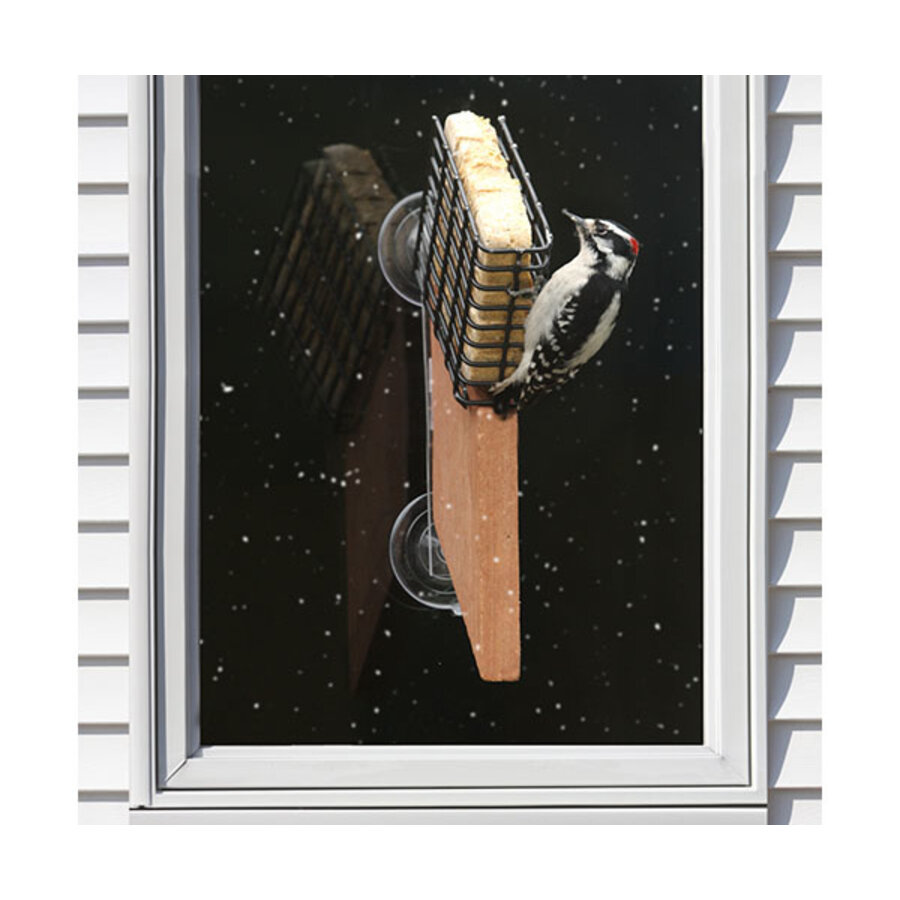 Suet Window Feeder