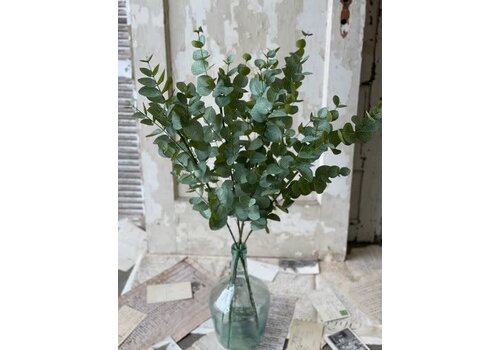  34" Nova Eucalyptus Spray 