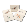 Earth sky water DFly & Damselfly Asst Boxed Note Cards