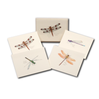 DFly & Damselfly Asst Boxed Note Cards