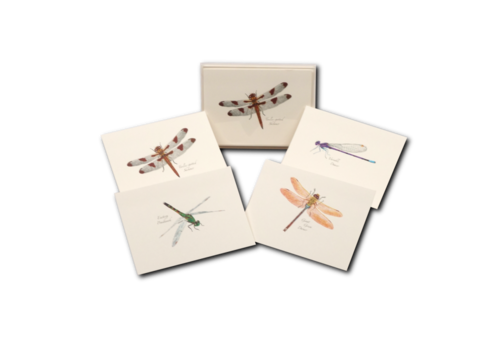  Earth sky water Dragonfly & Damselfly Assorted Boxed Cards 