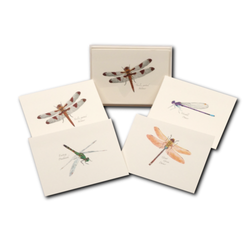  Earth sky water Dragonfly & Damselfly Assorted Boxed Cards 