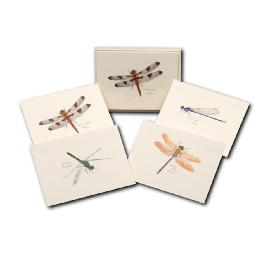 DFly & Damselfly Asst Boxed Note Cards
