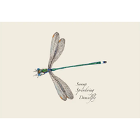 DFly & Damselfly Asst Boxed Note Cards