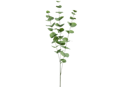  40" Eucalyptus Spray 