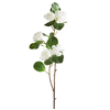35" White Viburnum Spray 35" White Viburnum Spray