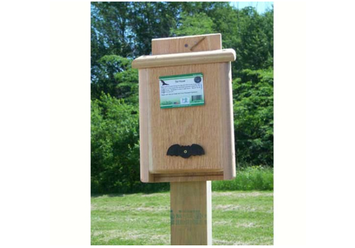 Bat House Single   Bat House Single