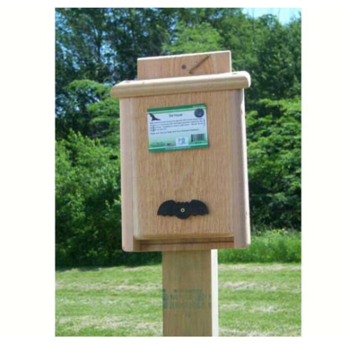 Bat House Single   Bat House Single
