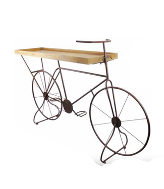 Plant Stand Bicycle Table