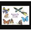 Butterfly Wings Matching Game