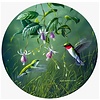 Andreas Hummingbird & Fuchsia Jar Opener