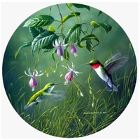 Hummingbird & Fuchsia Jar Opener