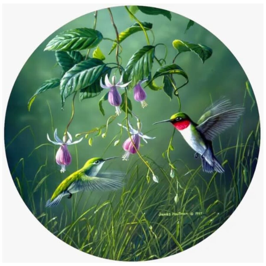 Hummingbird & Fuchsia Jar Opener