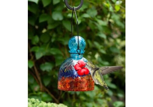  LunaLite Bell HB Feeder - Aqua/Red 