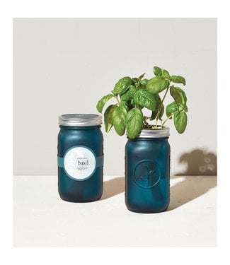 Modern Sprout Garden Jar - Basil