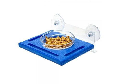  Blue Window Mealworm Feeder 