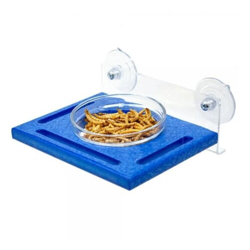  Blue Window Mealworm Feeder 