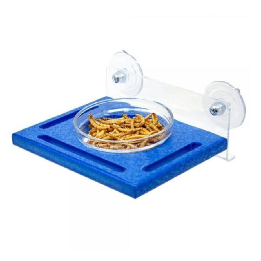 Blue Window Mealworm Feeder