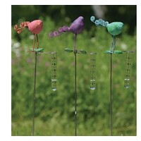 Bird Rain Gauge
