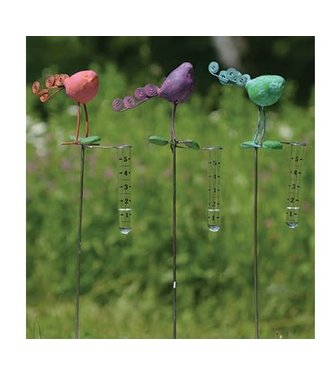 Bird Rain Gauge