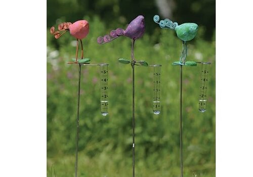  Bird Rain Gauge 