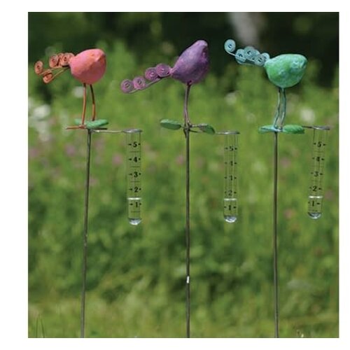  Bird Rain Gauge 