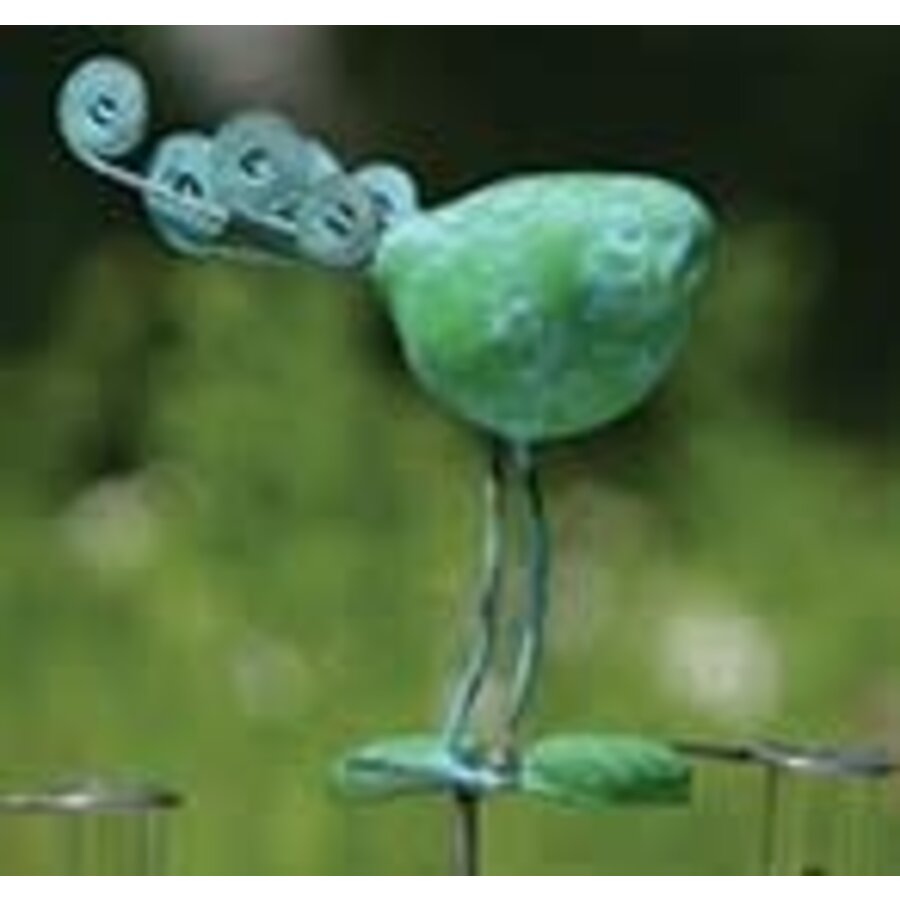 Bird Rain Gauge