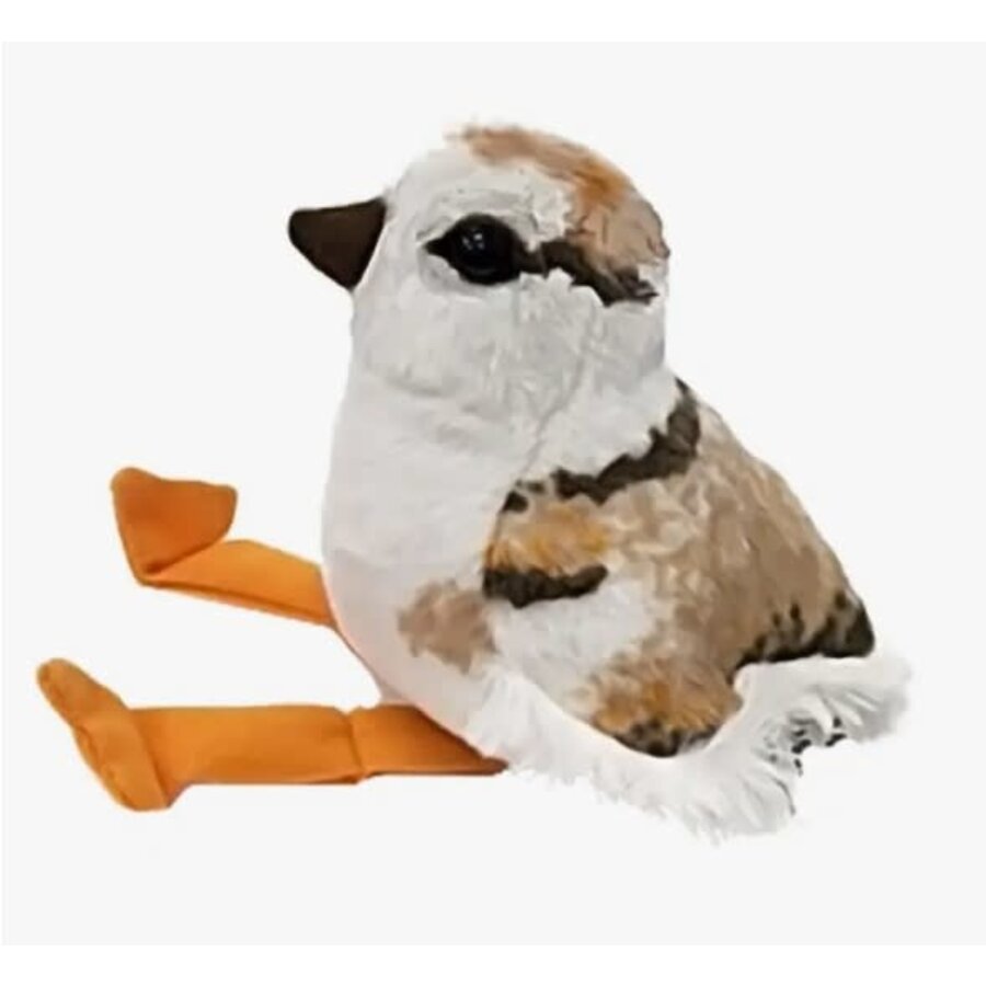 Piping Plover Chick Audubon