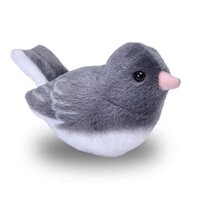 Dark Eyed Junco Audubon