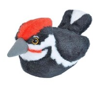 Pileated Woodpecker Audubon